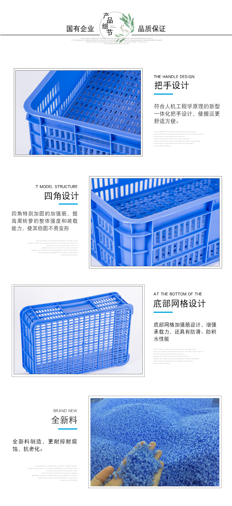 6號周轉蘿詳情2