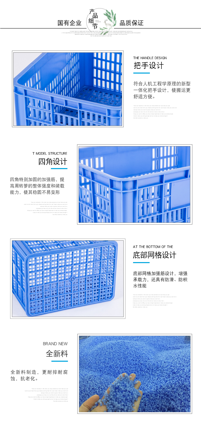 10號周轉蘿詳情_2