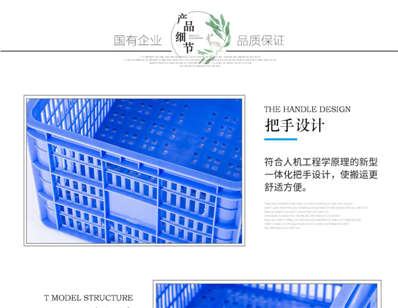 5號(hào)周轉(zhuǎn)蘿詳情2